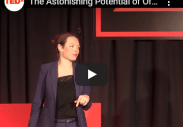 Tedx: The Astonishing Potential of Offshore Wind