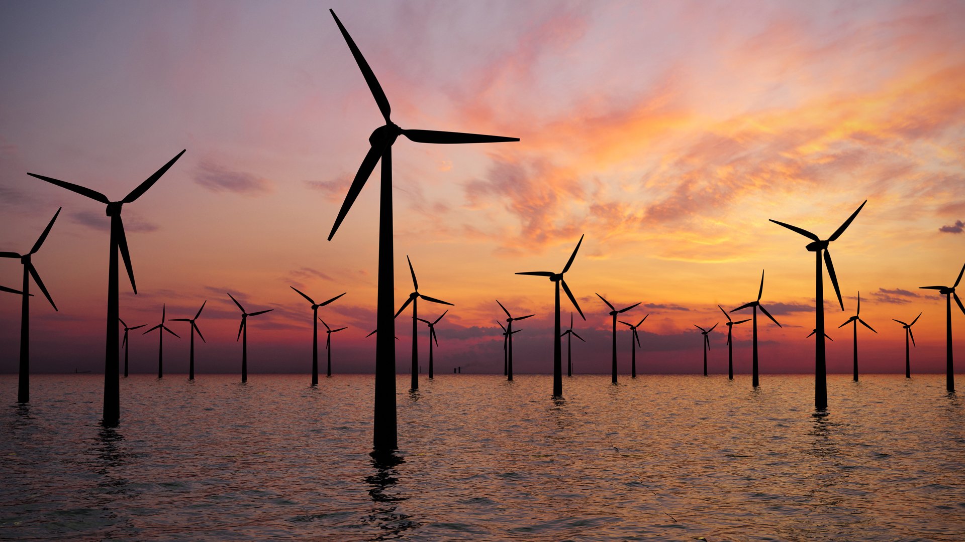 New England for Offshore Wind Responsible Development